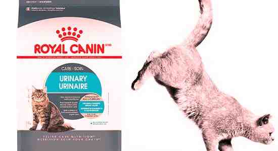 Royal Canin Veterinary Diet Urinary Feline Cat Treats