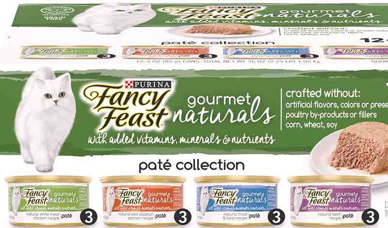 Purina Fancy Feast Gourmet Naturals Dry Cat Food