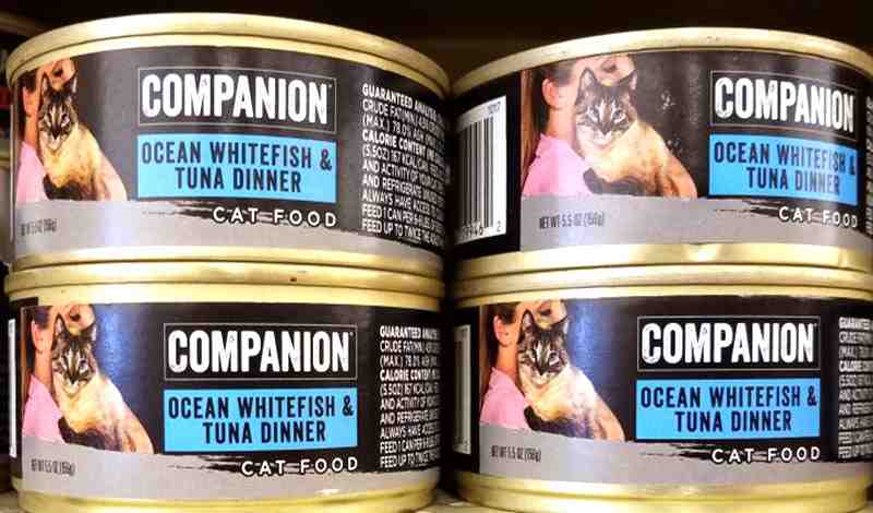 Companion Cat Food