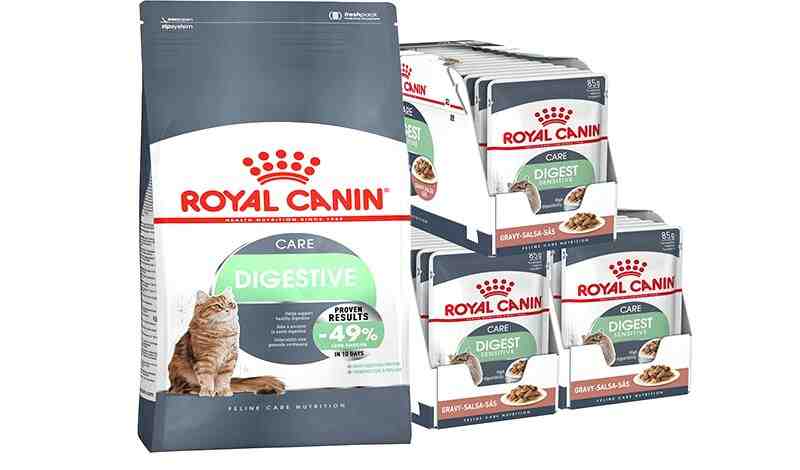 Royal Canin Feline Digestive Care Dry Cat Food