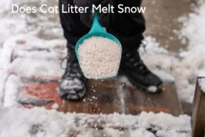 Does Cat Litter Melt Snow